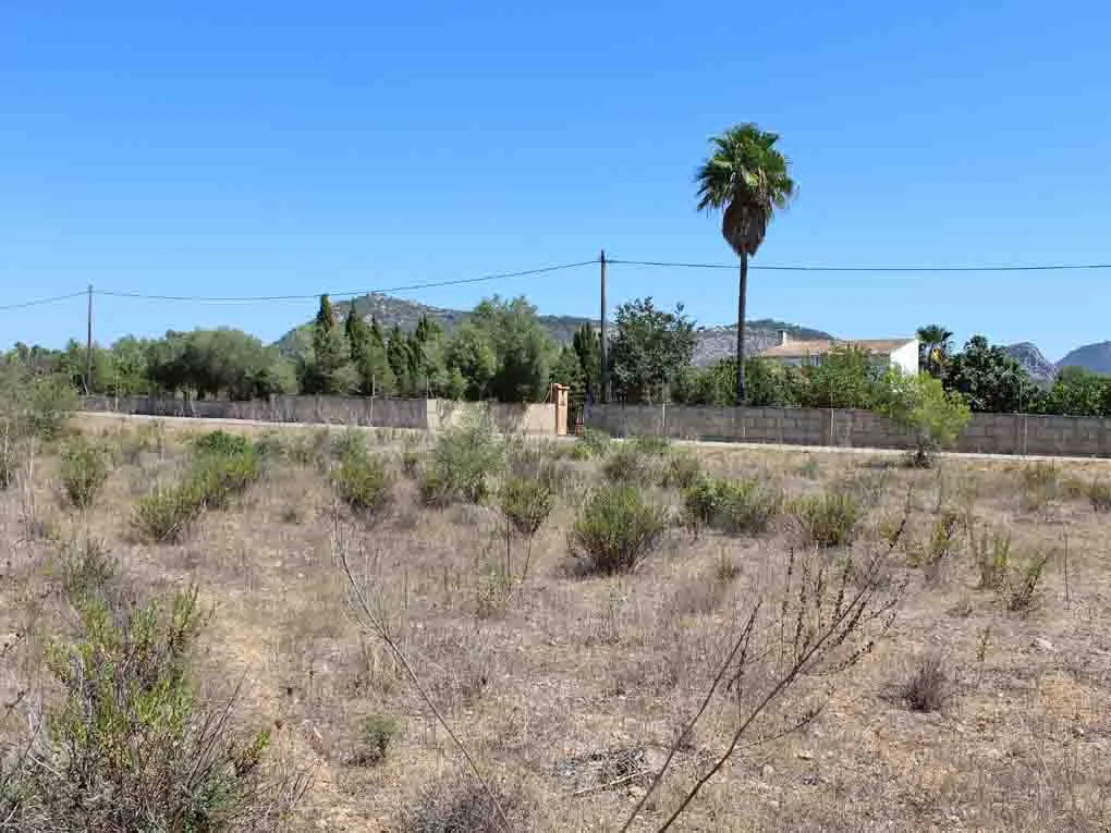 Duża płaska działka z dobrym widokiem w pobliżu miasta Llucmajor-3