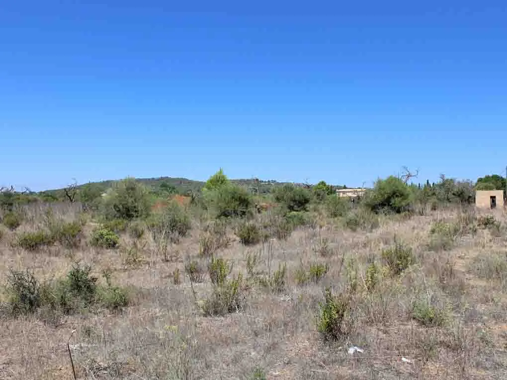 Duża płaska działka z dobrym widokiem w pobliżu miasta Llucmajor-1