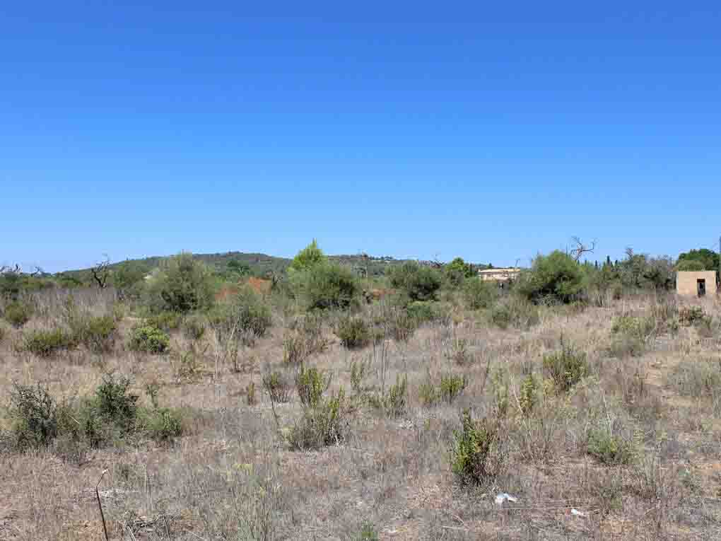 Large flat plot with good views close to town-1
