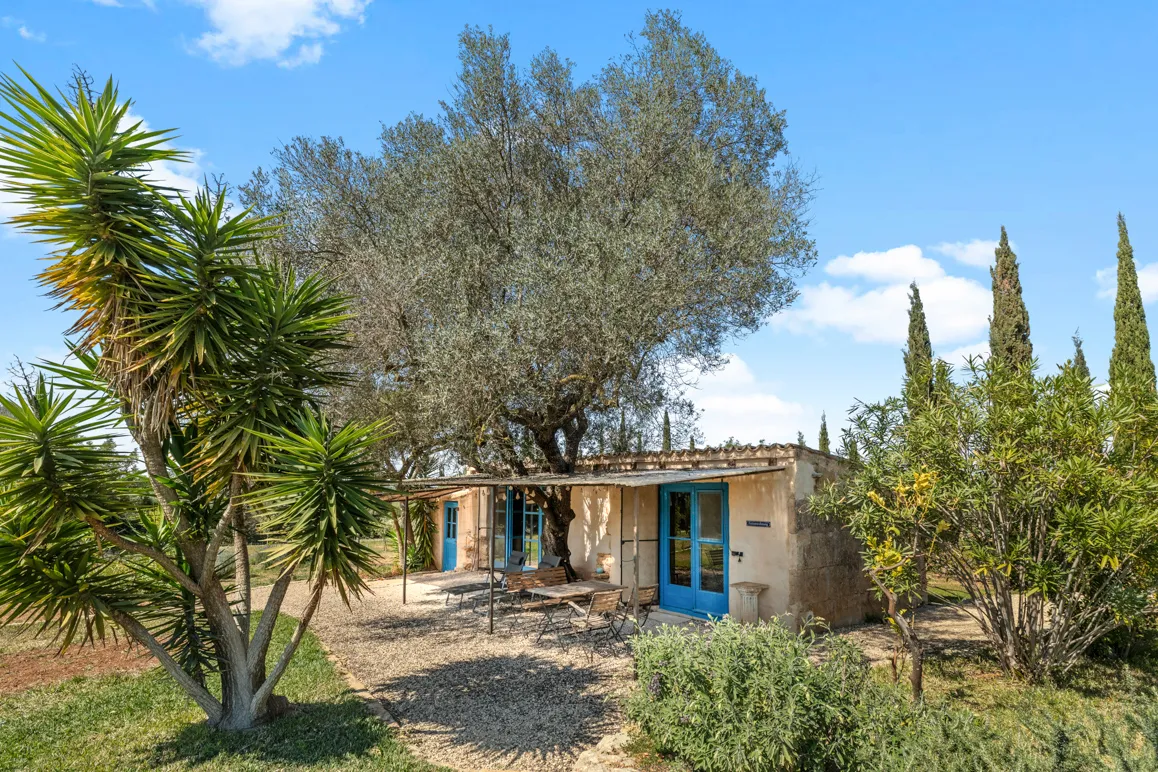 Finca mediterránea con vistas hasta la sierra de Tramuntana cerca de Manacor-19