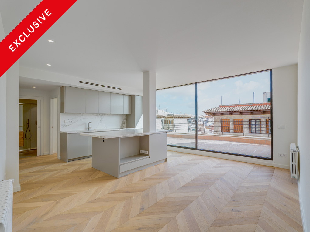 Sonniges, modernes Penthouse mit jetzt möblierter Terrasse und Lift nahe dem Borne