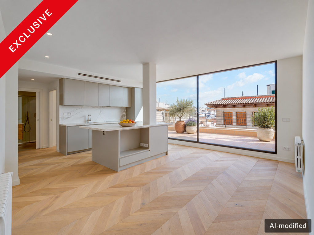 Zonnig, modern penthouse met nu gemeubileerd terras en lift vlakbij de Borne