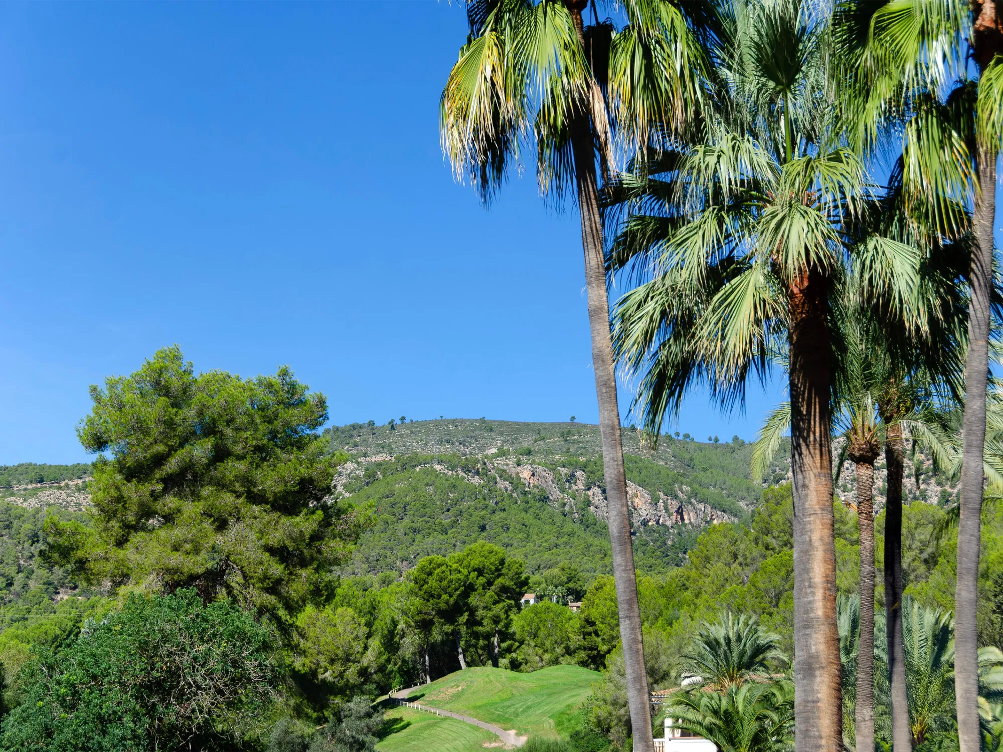 Apartament elegant en exclusiva urbanització de Bendinat Golf-12