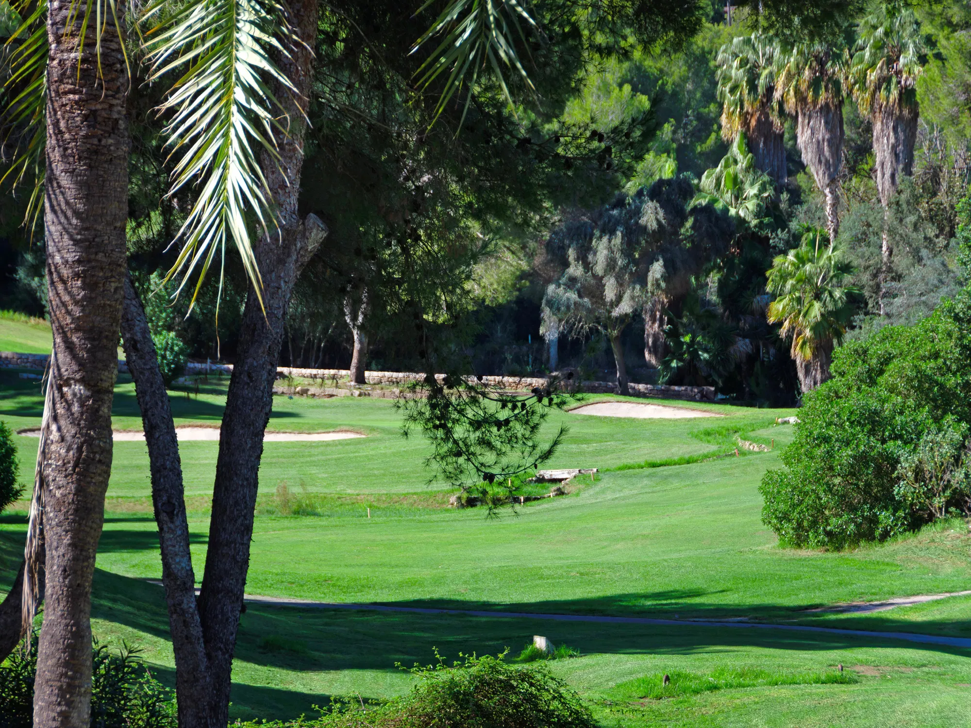 Apartament elegant en exclusiva urbanització de Bendinat Golf-13