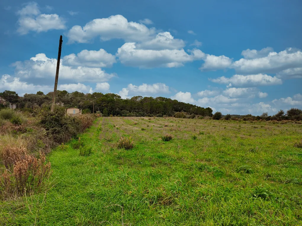 Fabulós solar amb projecte a Sant Joan-19