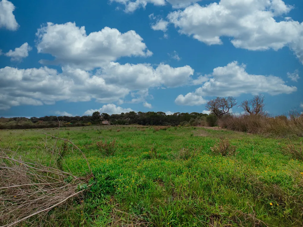 Fabulós solar amb projecte a Sant Joan-18