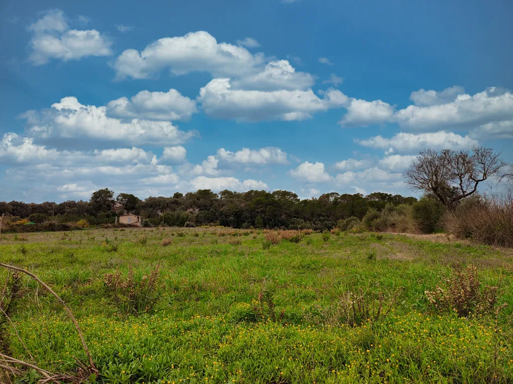 Fabulós solar amb projecte a Sant Joan-16