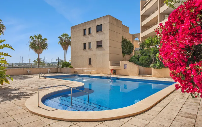 Appartement lumineux directement sur la promenade