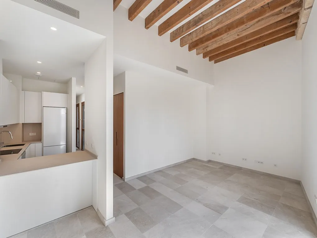 Wyremontowany penthouse z tarasem na dachu, windą i zapierającym dech w piersiach panoramicznym widokiem-4