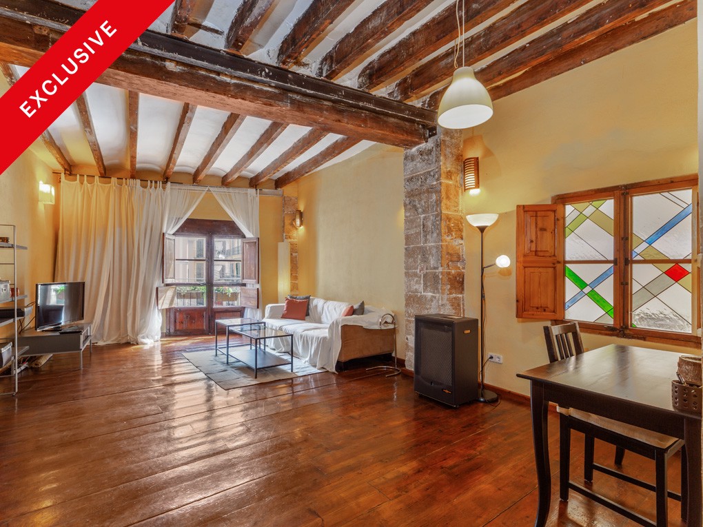 Bright apartment with character and balcony - at Plaza Coll
