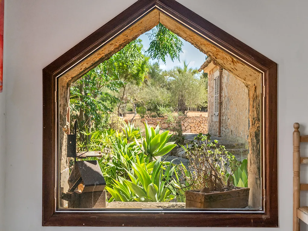 Uniek item met zeldzaamheidswaarde-11