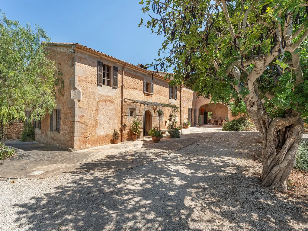 Uniek item met zeldzaamheidswaarde-1