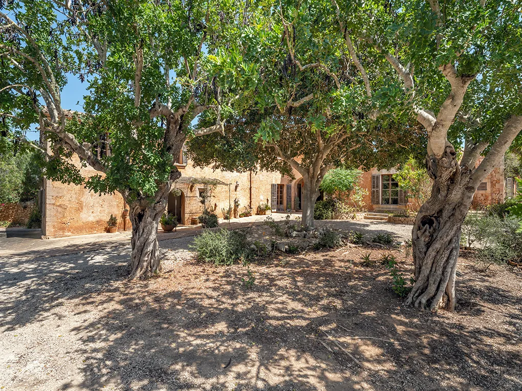 Uniek item met zeldzaamheidswaarde-25