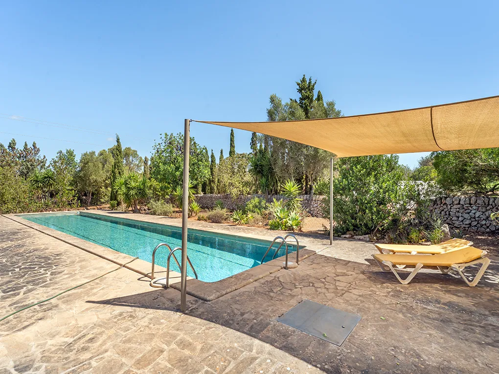 Uniek item met zeldzaamheidswaarde-24