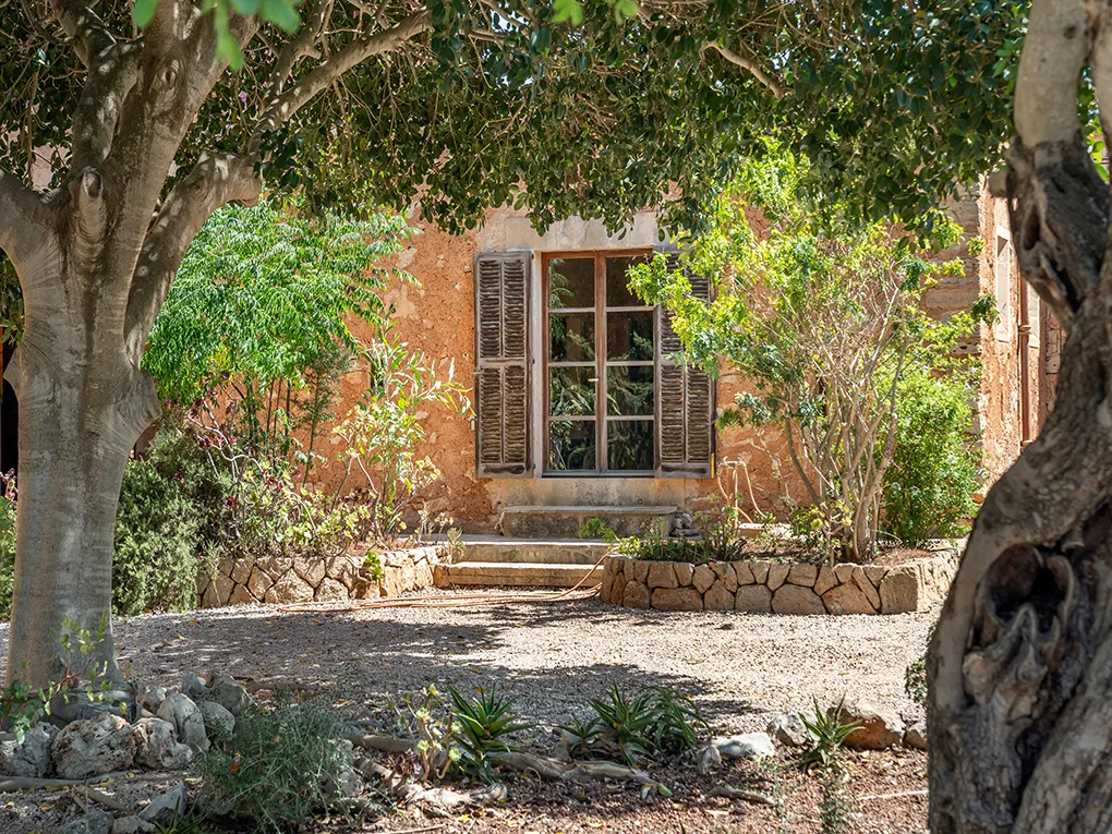 Unikalny przedmiot z wartością rzadkości-23