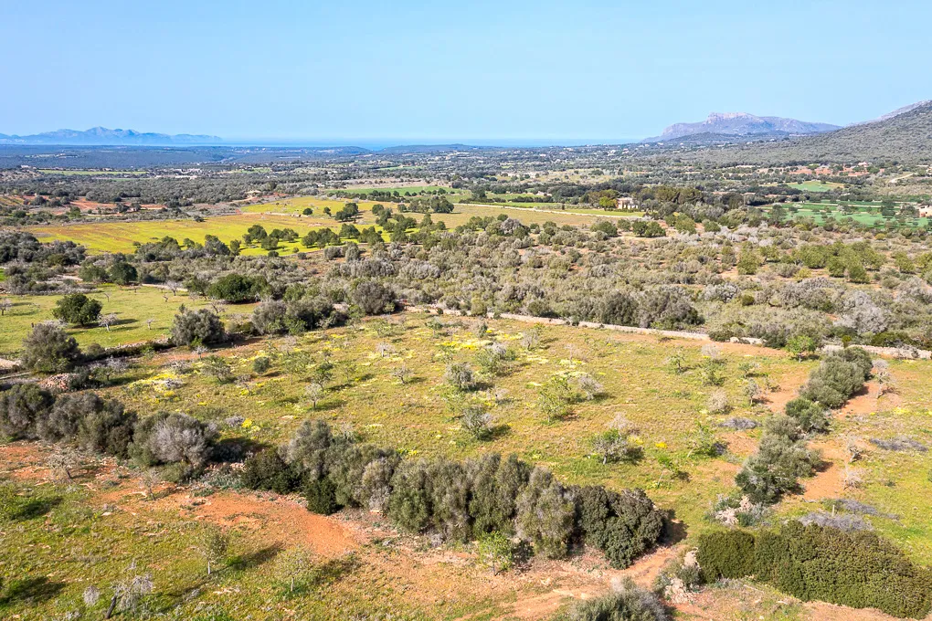 Solar con vista panorámica y proyecto básico-1