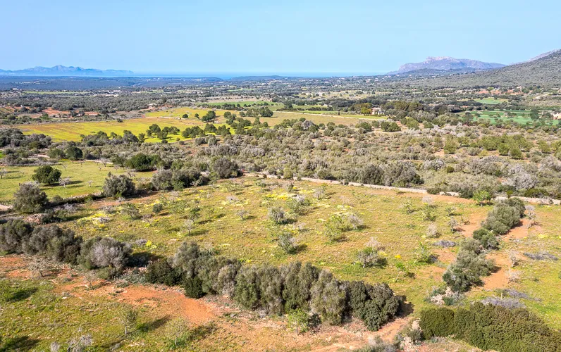 Solar con vista panorámica y proyecto básico