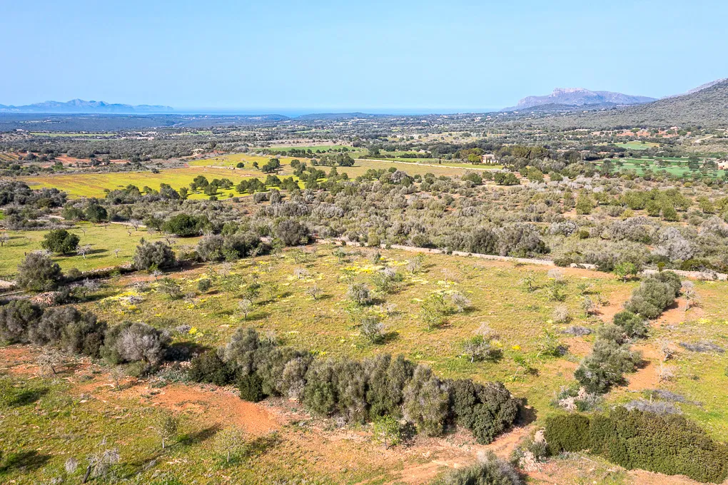 Tomt med panoramautsikt och finca-projekt-1