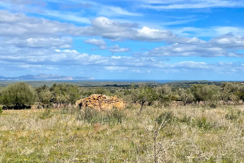 Solar con vista panorámica y proyecto básico-4