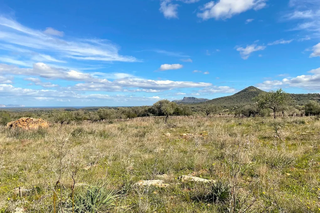 Solar con vista panorámica y proyecto básico-5