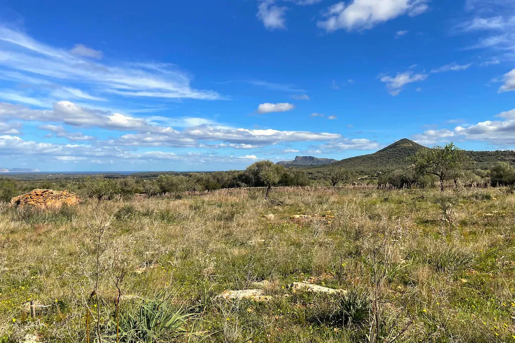 Tomt med panoramautsikt och finca-projekt-5