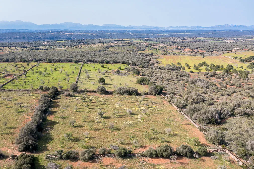 Solar con vista panorámica y proyecto básico-3