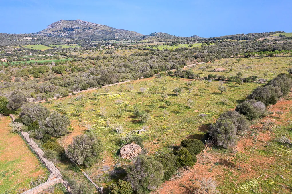 Solar con vista panorámica y proyecto básico-2