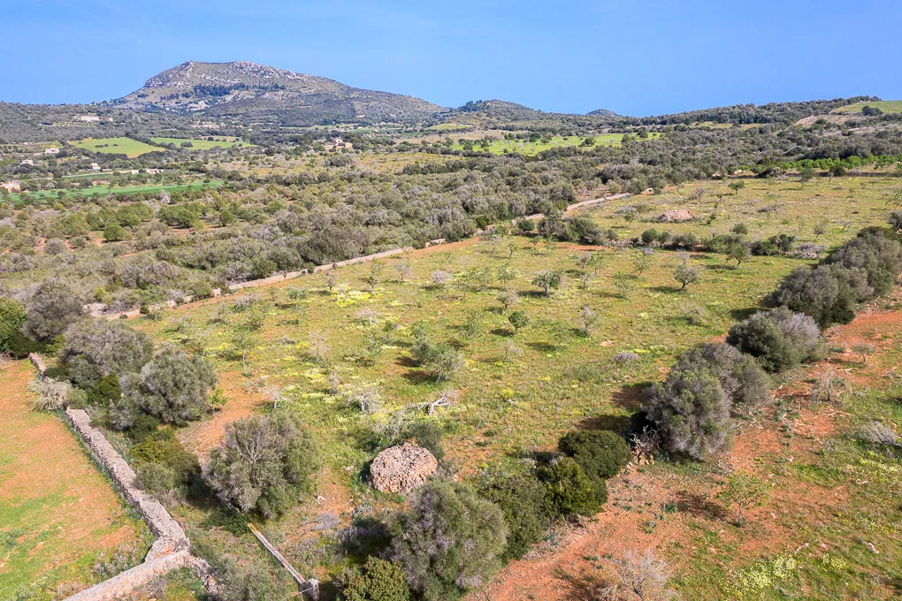 Tomt med panoramautsikt och finca-projekt-2
