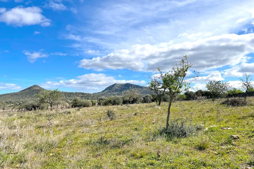 Solar con vista panorámica y proyecto básico-6