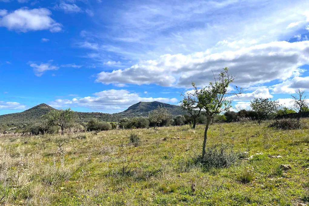 Tomt med panoramautsikt och finca-projekt-6