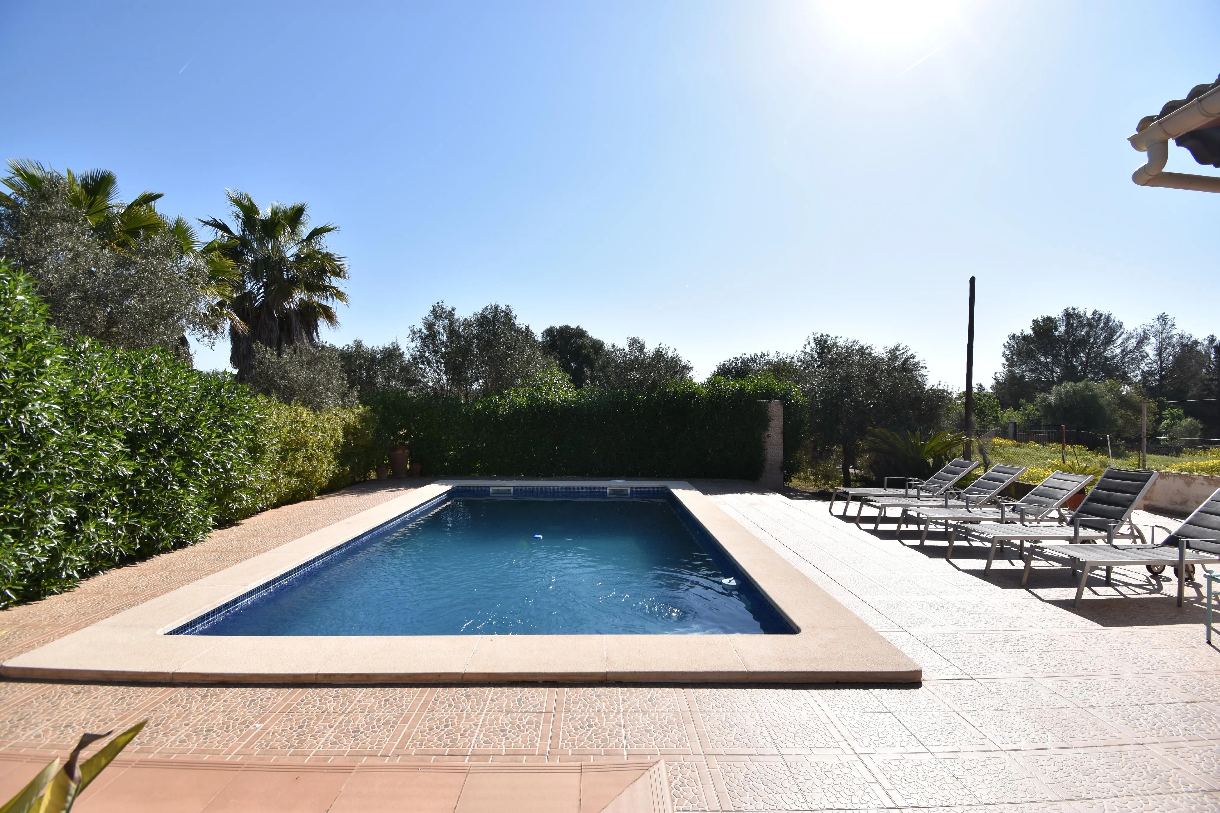 Rustik finca med pool og udsigt i Llucmajor-3