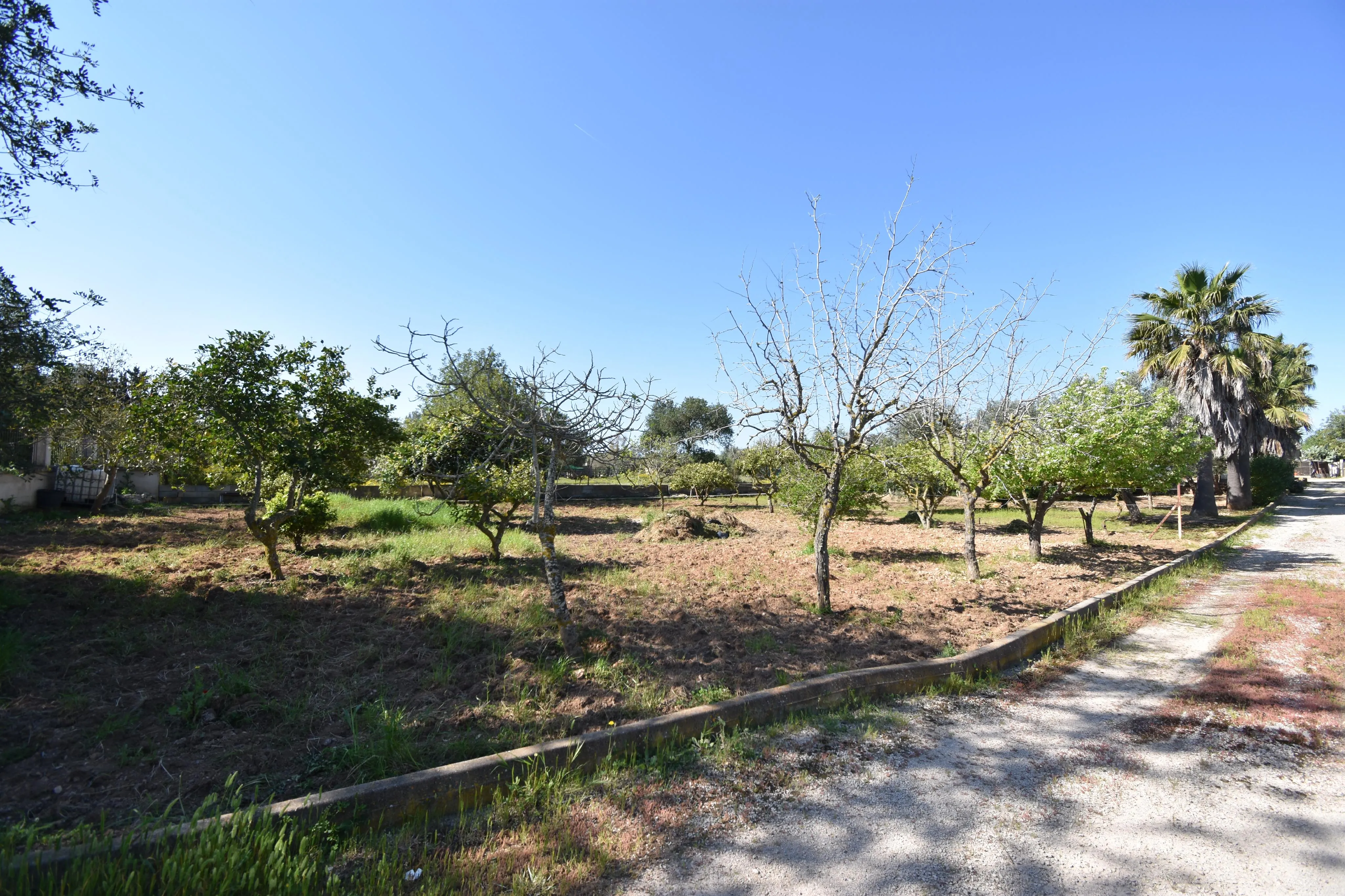 Rustik finca med pool og udsigt i Llucmajor-16