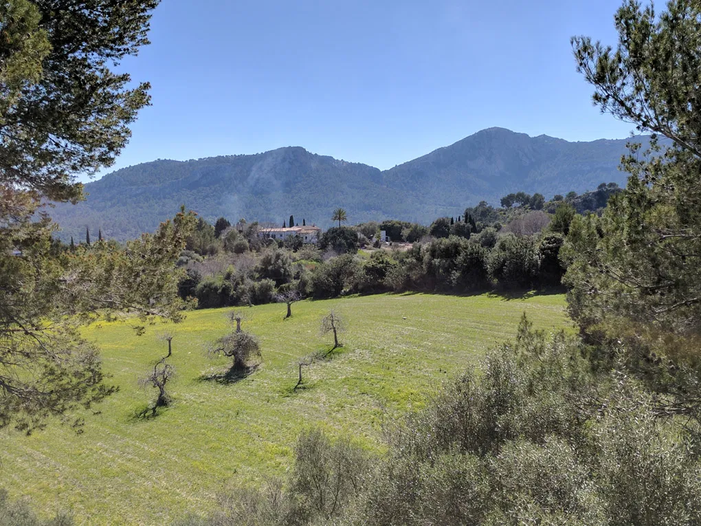 Bauprojekt für Landhaus bei Pollensa-1