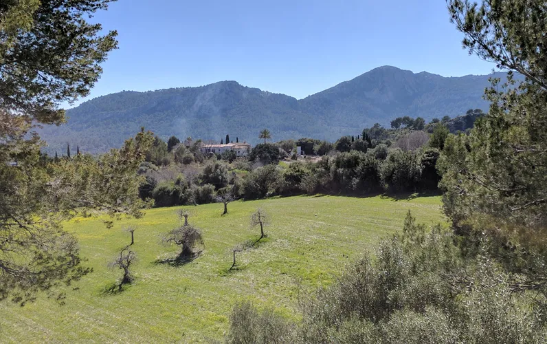 Projekt for landsted i Pollensa