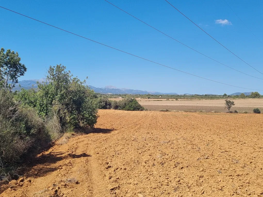 Large plot in Santa Eugenia-3