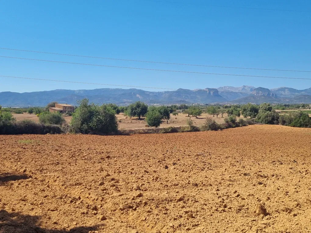 Large plot in Santa Eugenia-6