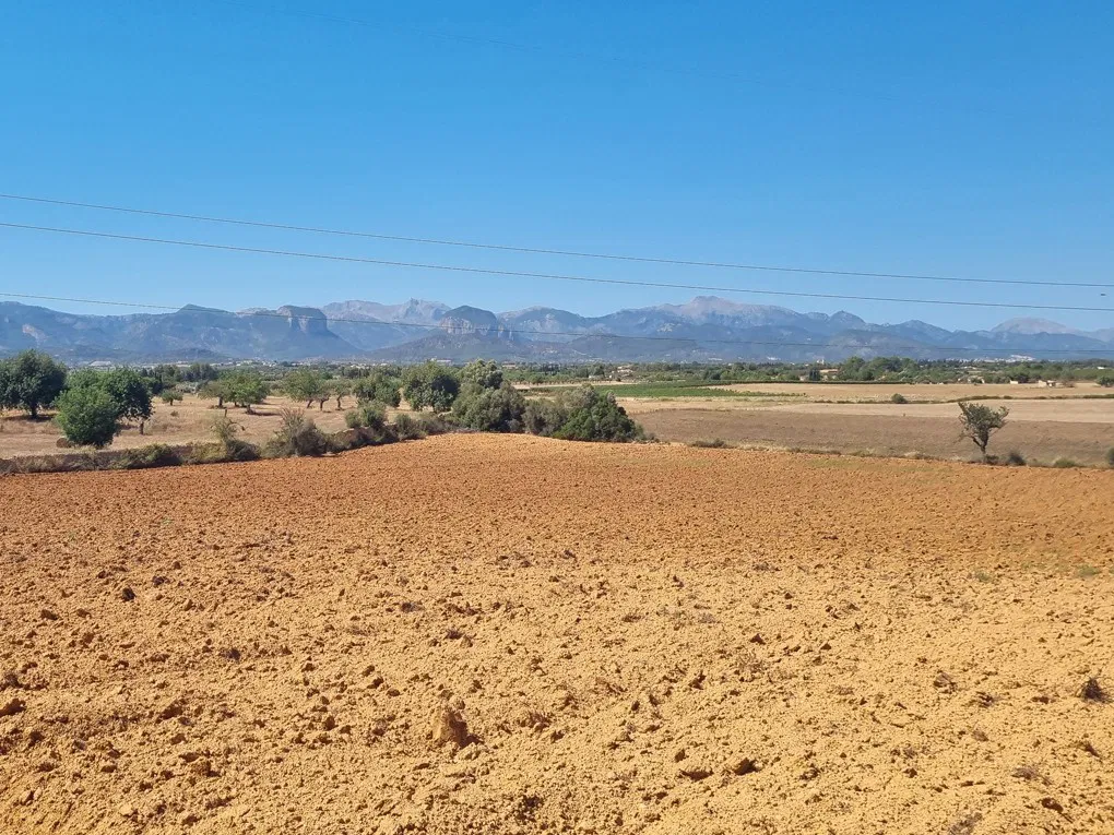 Large plot in Santa Eugenia-5