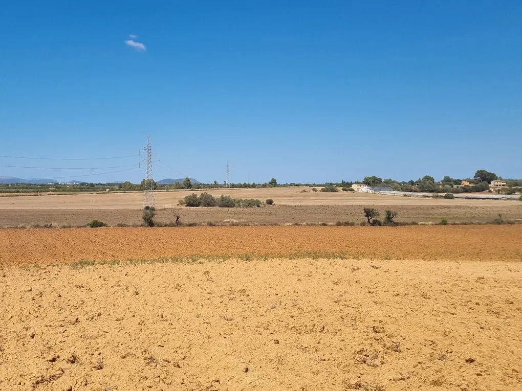 Large plot in Santa Eugenia-7