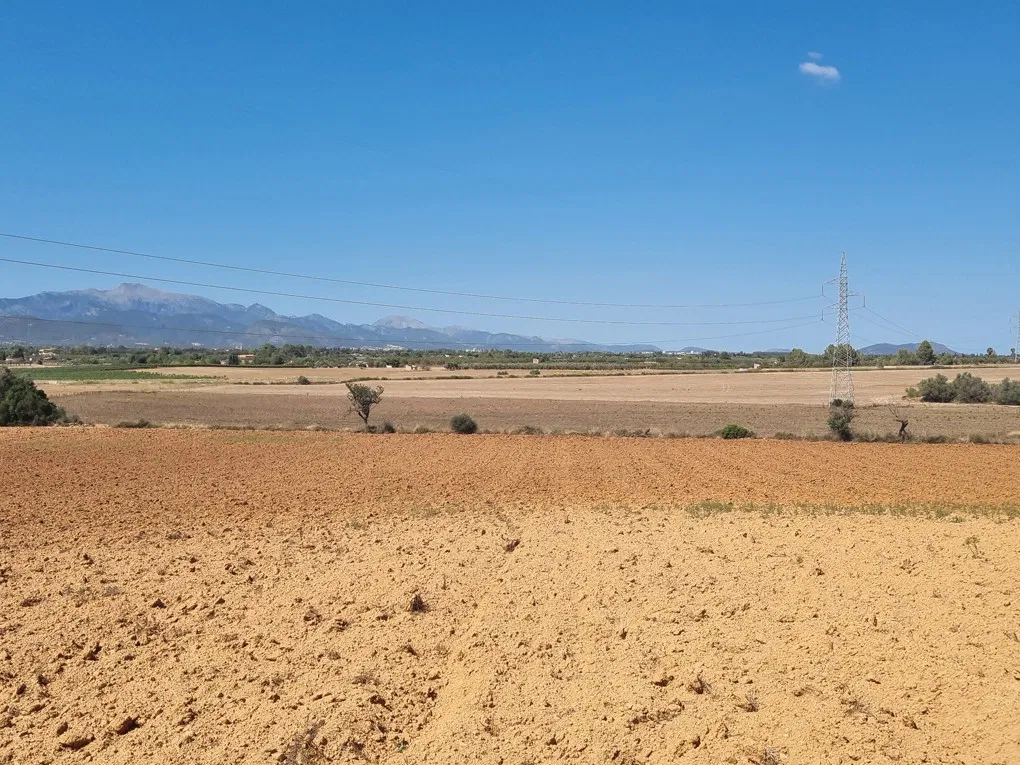 Large plot in Santa Eugenia-4