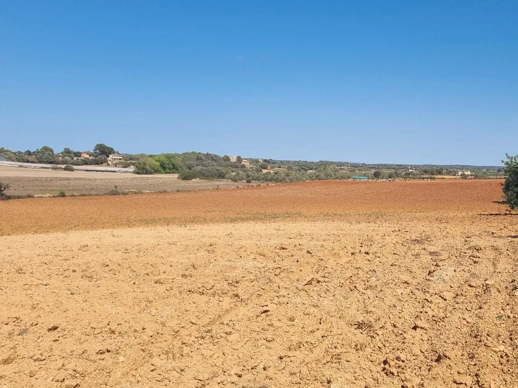 Large plot in Santa Eugenia-2