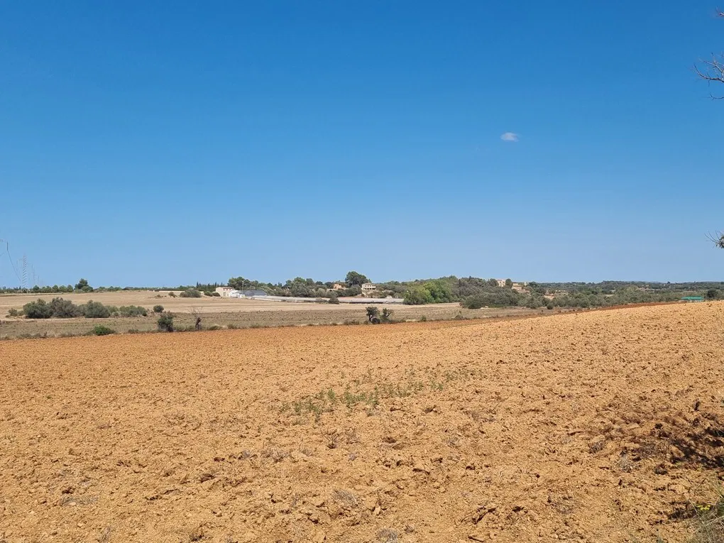 Large plot in Santa Eugenia-1