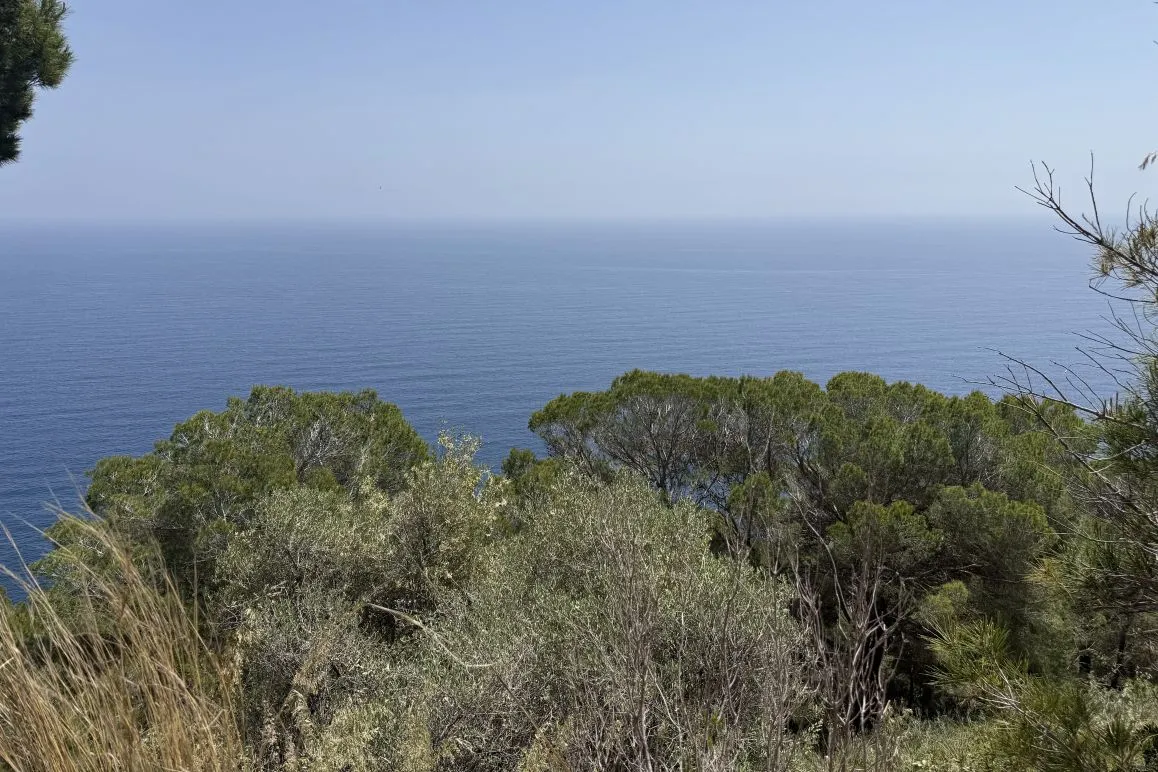 Terreno edificabile con vista libera sul mare in Costa de Canyamel-5