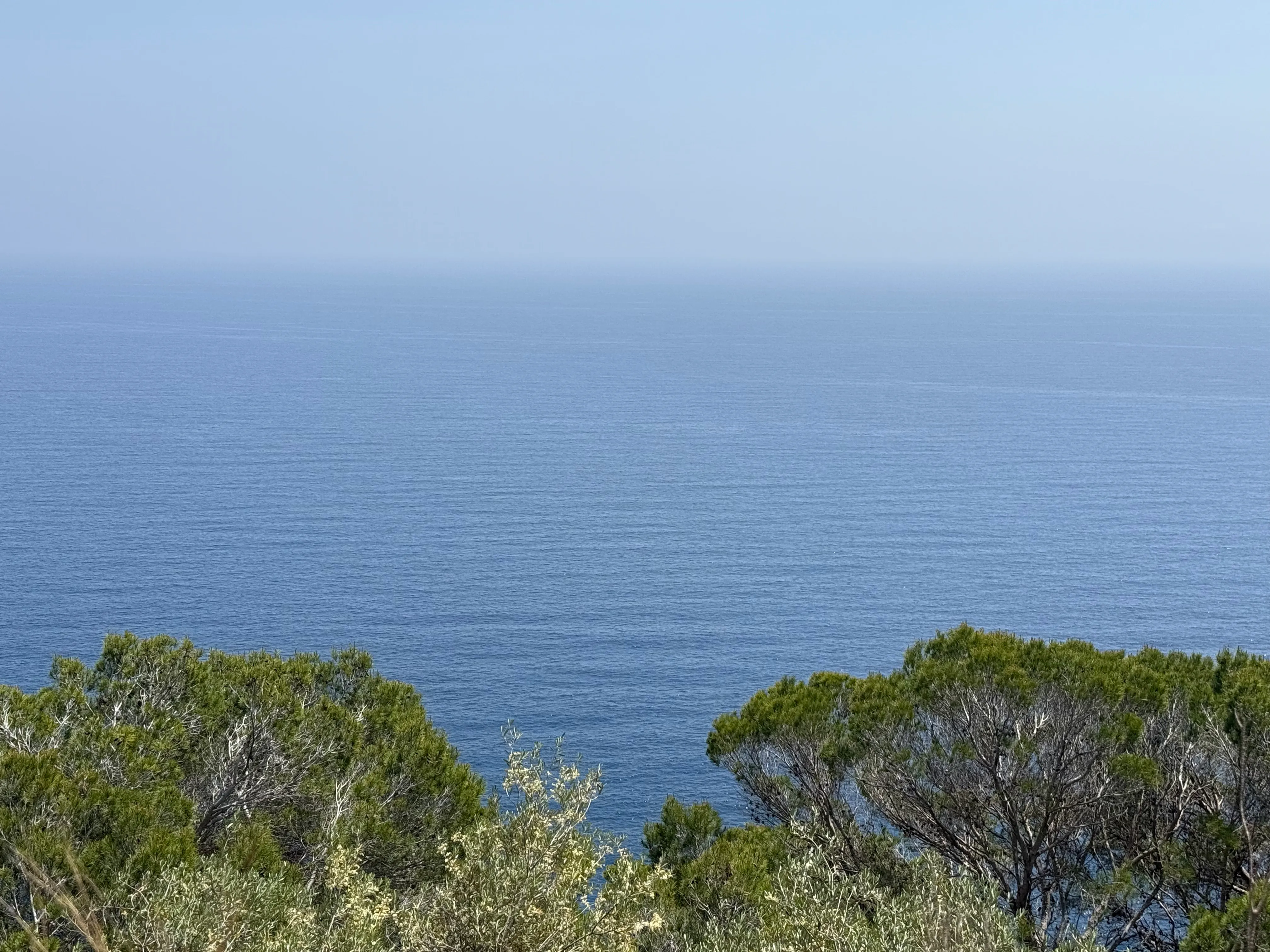 Terreno edificabile con vista libera sul mare in Costa de Canyamel-3