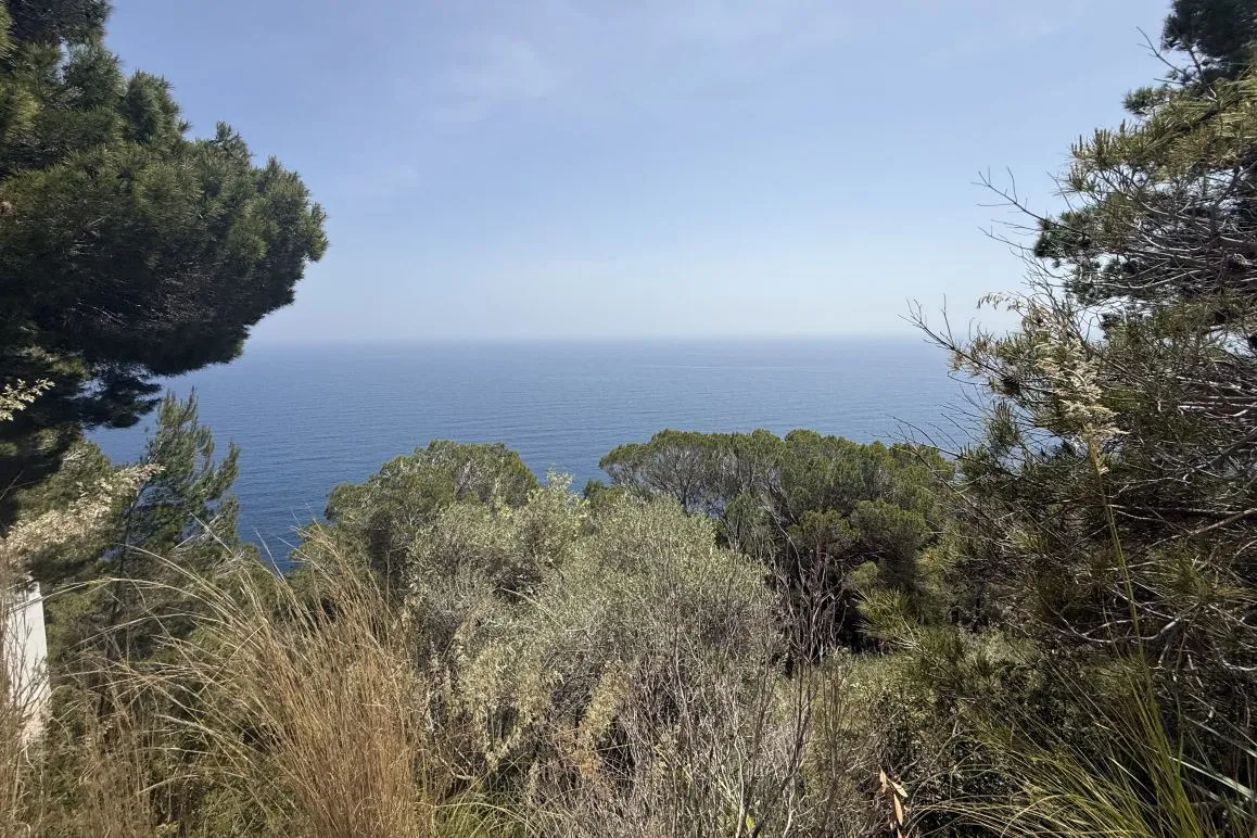 Terreno edificabile con vista libera sul mare in Costa de Canyamel-2