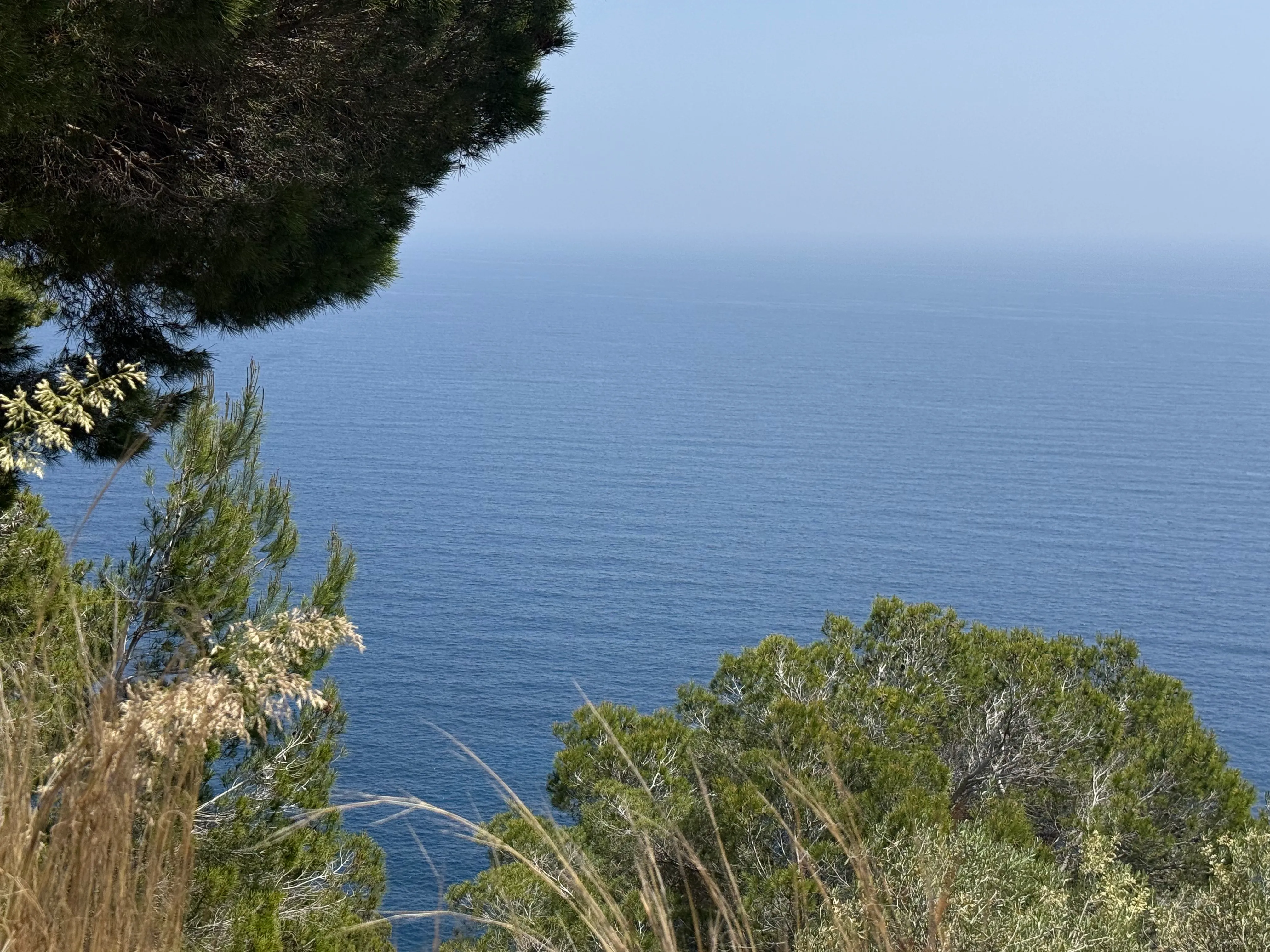 Terreno edificabile con vista libera sul mare in Costa de Canyamel-4