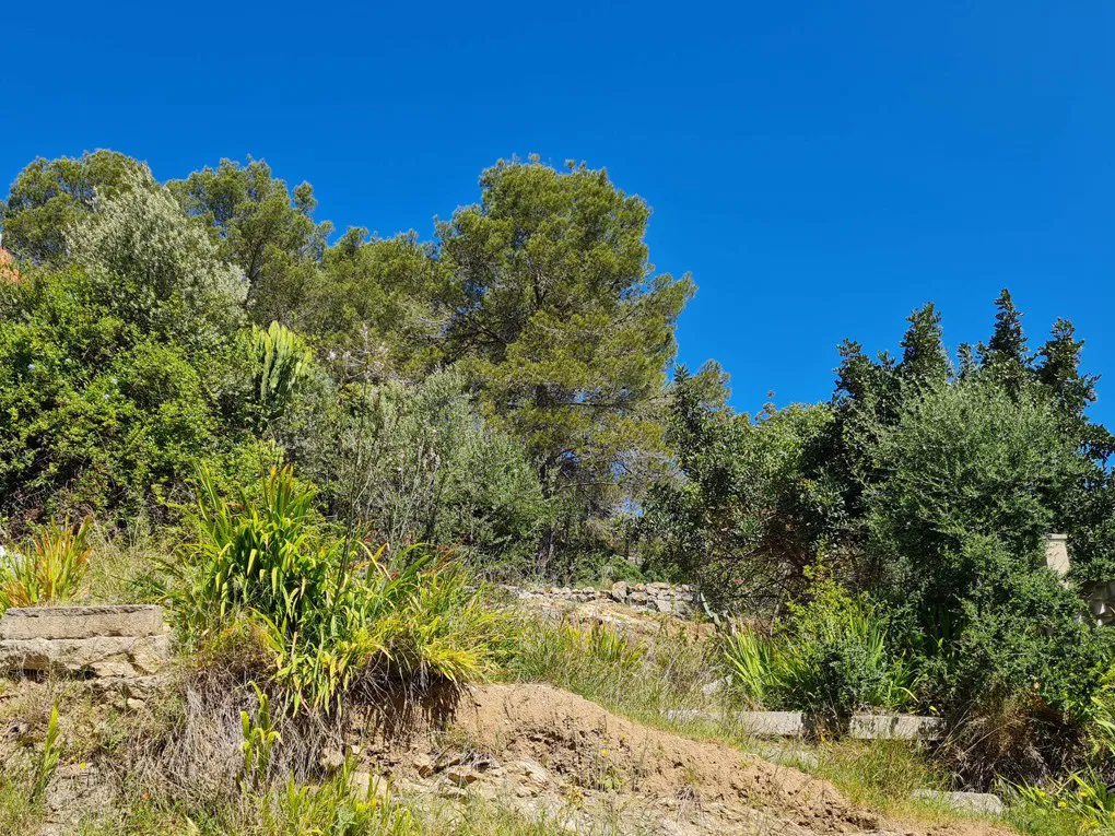 Espectacular proyecto con piscina en Caimari-16