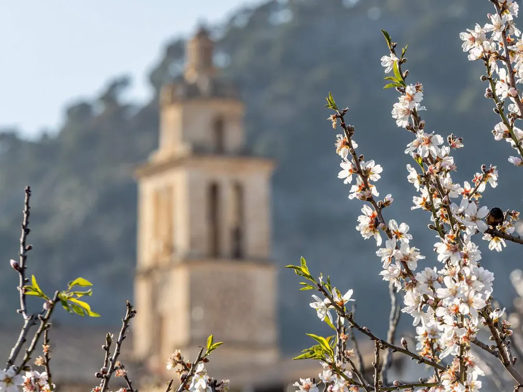 Fantastisk projekt med pool i Caimari-3