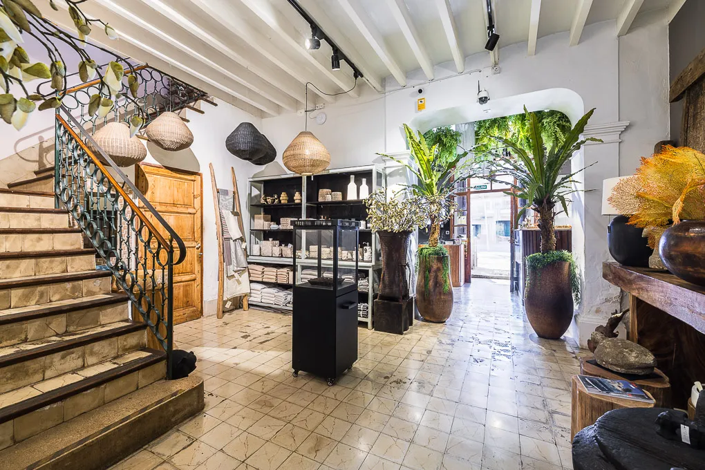 Palau històric amb gran jardí-5