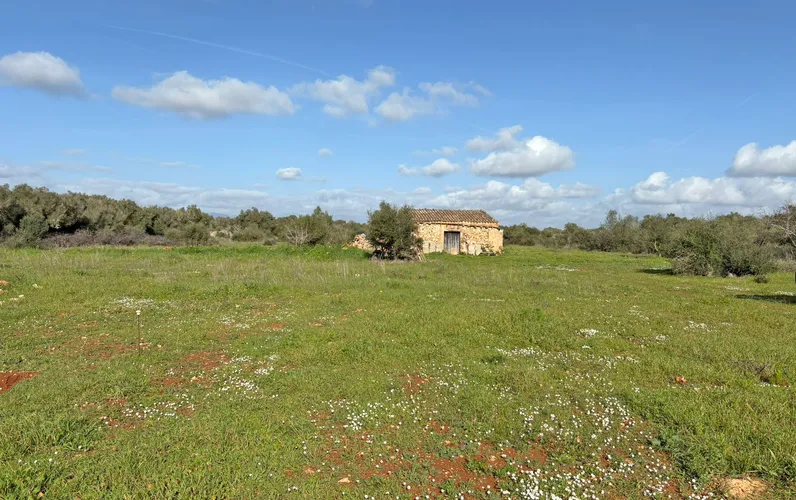 Ampio terreno edificabile con licenza e vista da sogno