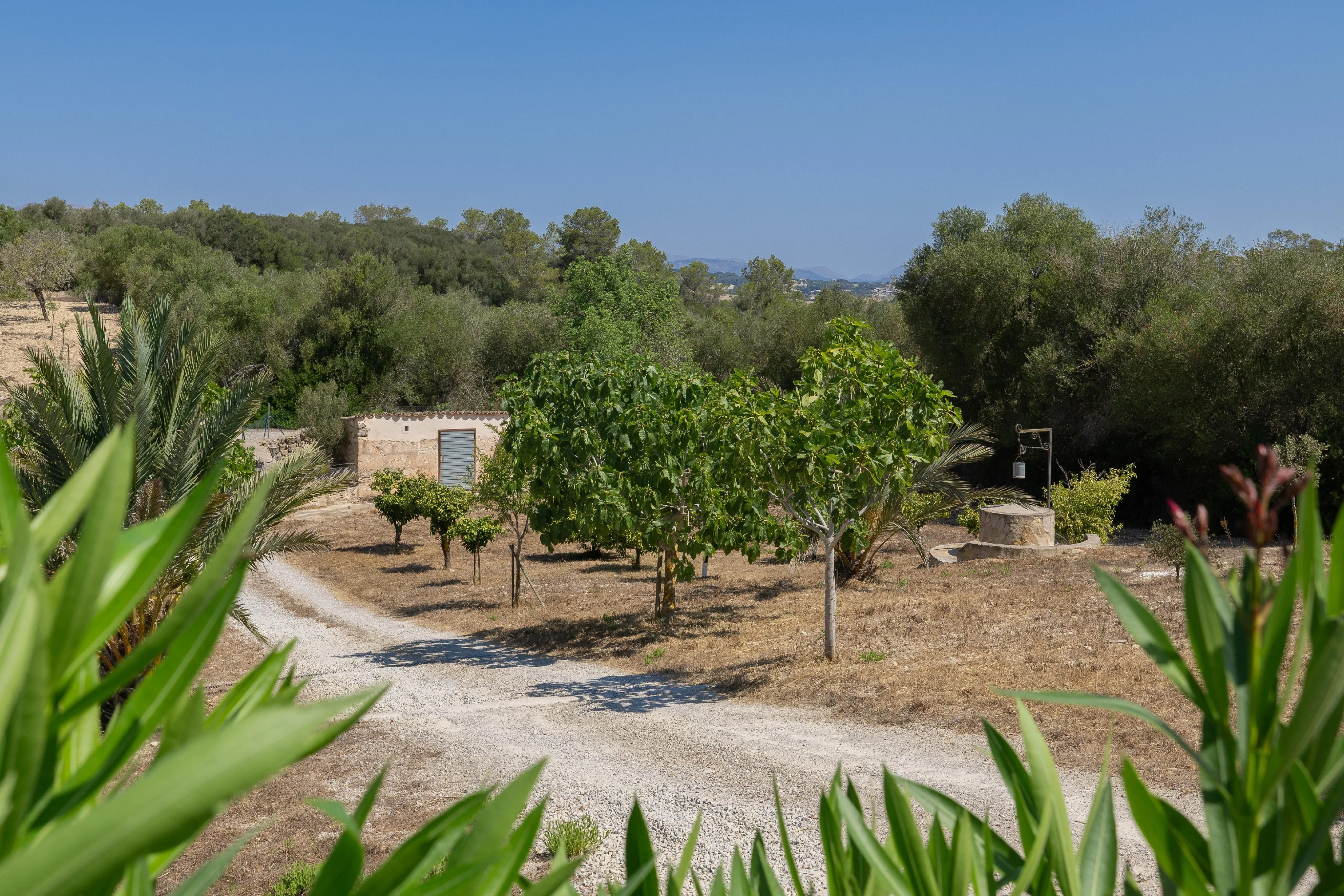 Finca w pagórkowatej okolicy z wymarzonymi widokami-21